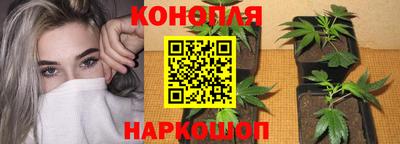 прущие крисы Абакан