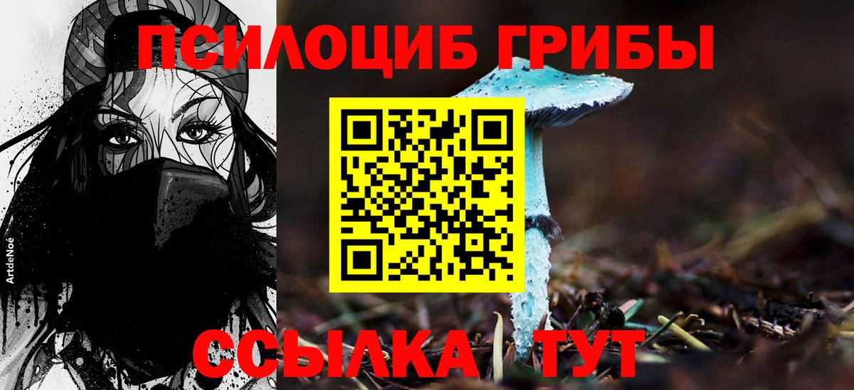 Галлюциногенные грибы Psilocybine cubensis Ангарск