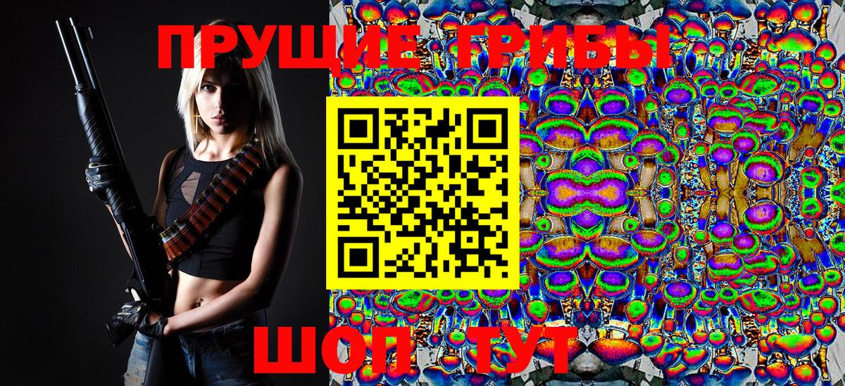 Ангарск  Псилоцибиновые грибы Cubensis  Псилоцибиновые грибы Psilocybine cubensis  Вход с VPN 
